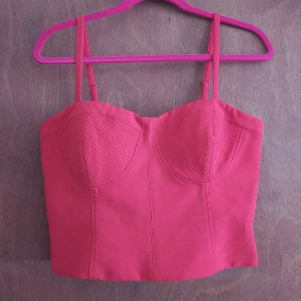 Rusty Red Bustier Top - Arden B